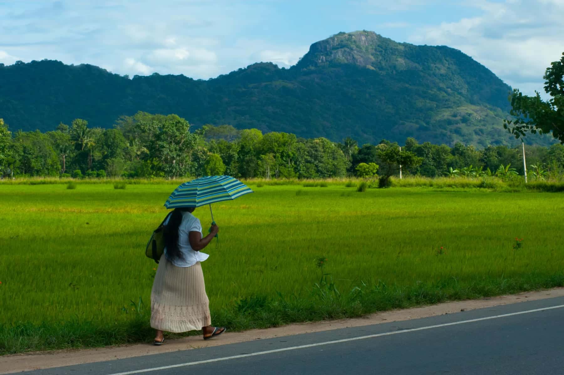 Village lunch and local experiences on 7-day Sri Lanka tour package