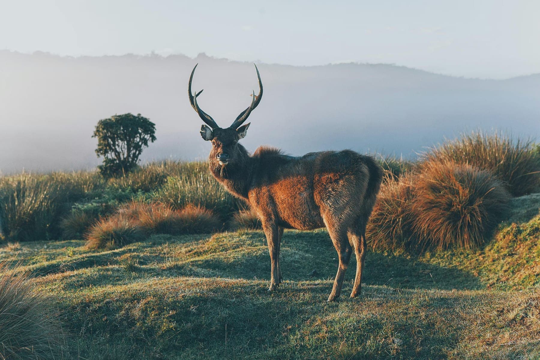 13-Day Sri Lanka Tour Package tour – Sri Lanka, Sri Lanka