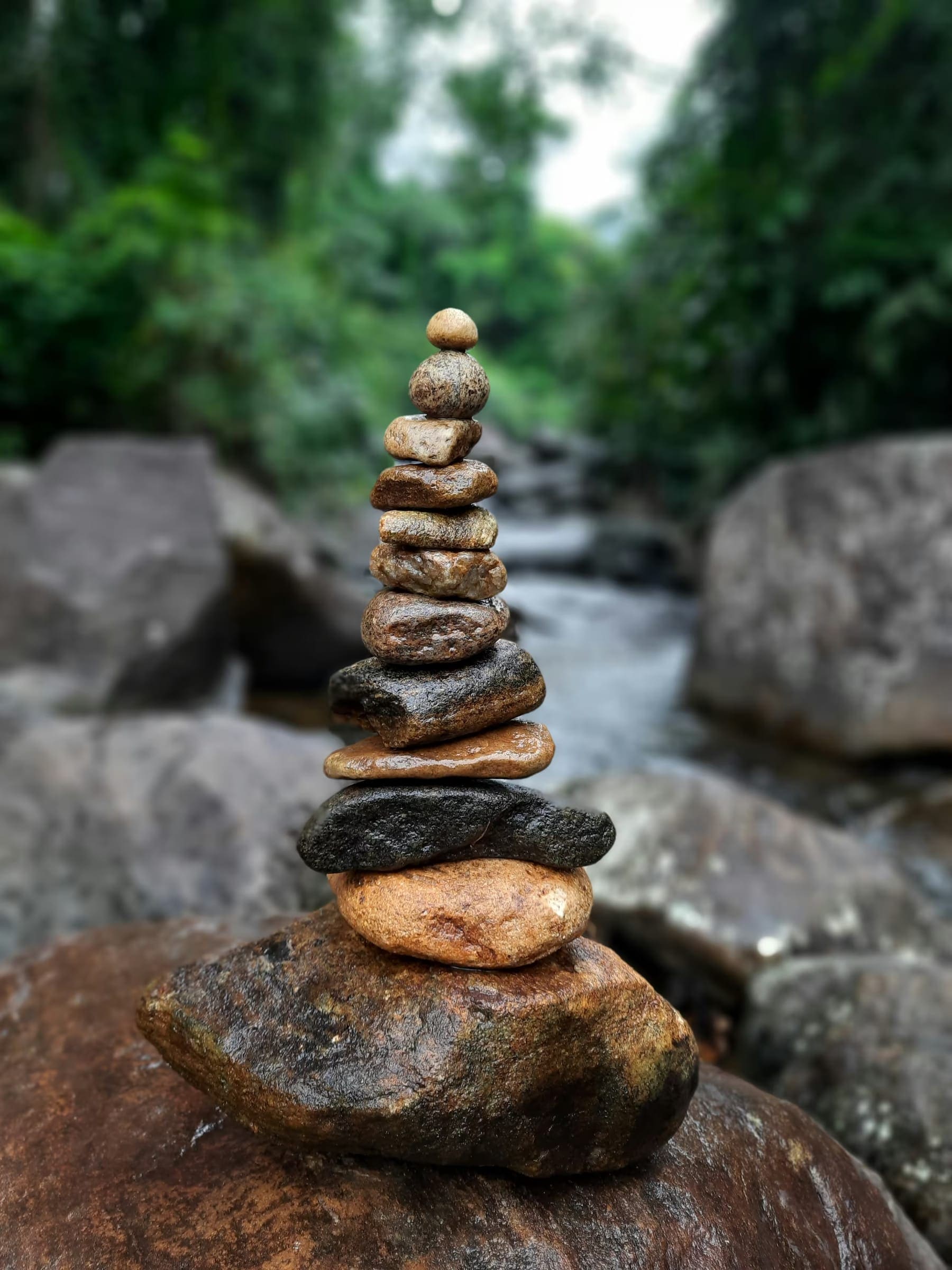 9-Day Sri Lanka Family Tour Package – 9 Days tour in Sri Lanka image 5